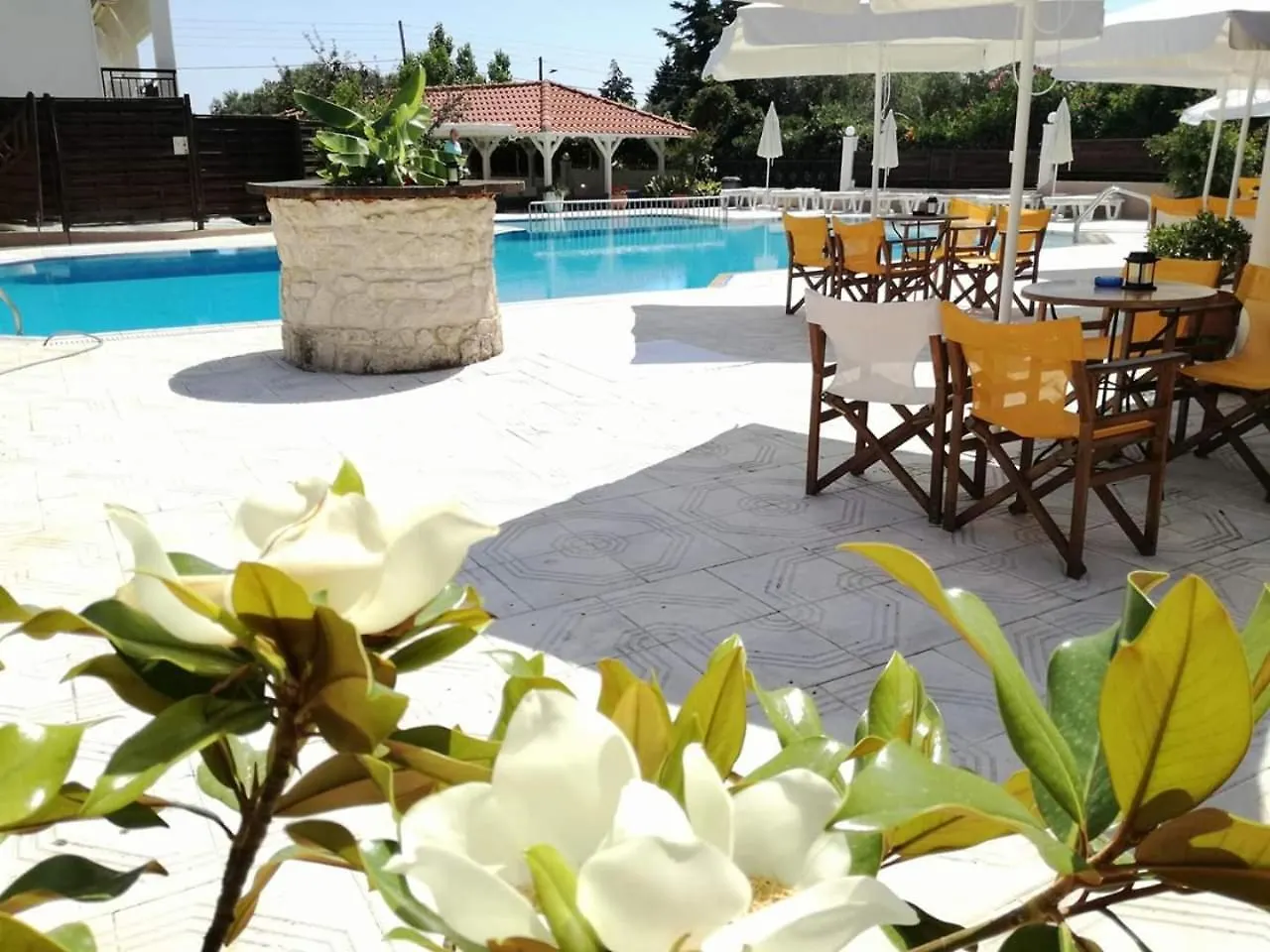 Leonidas Apartments And Suites Mola Kalyva