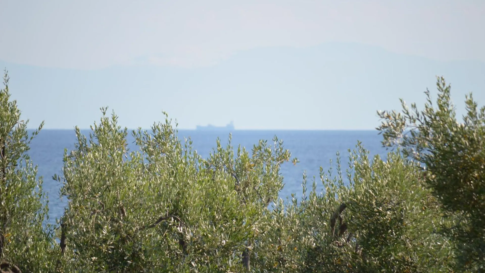Ξενοδοχείο με διαμερίσματα Leonidas Apartments And Suites Μόλα Καλύβα Ελλάδα